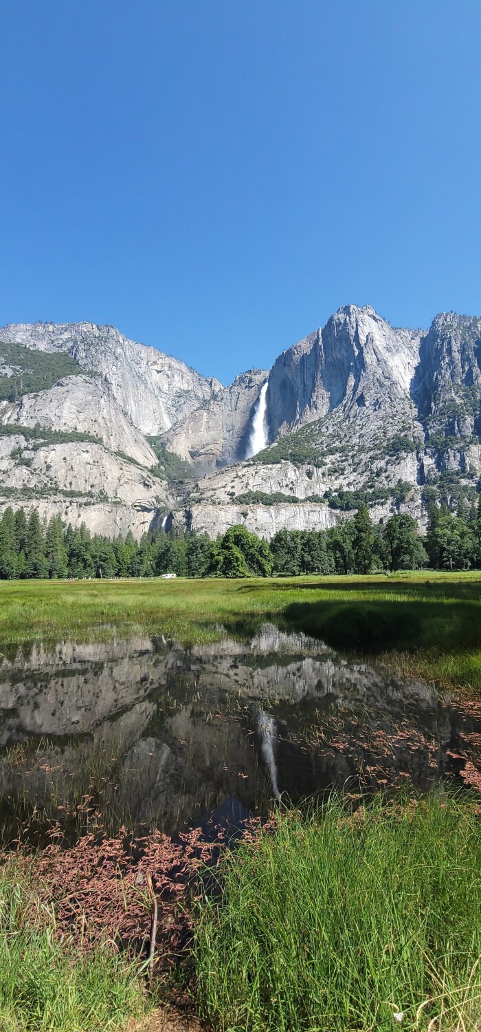 Mirror of the nature