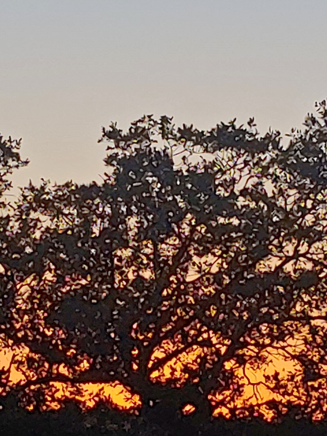 Evening Sunset