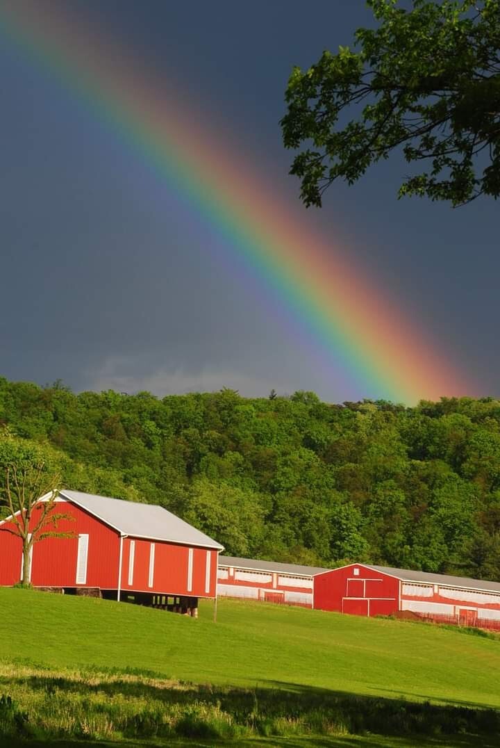 Rainbow Red Barn
