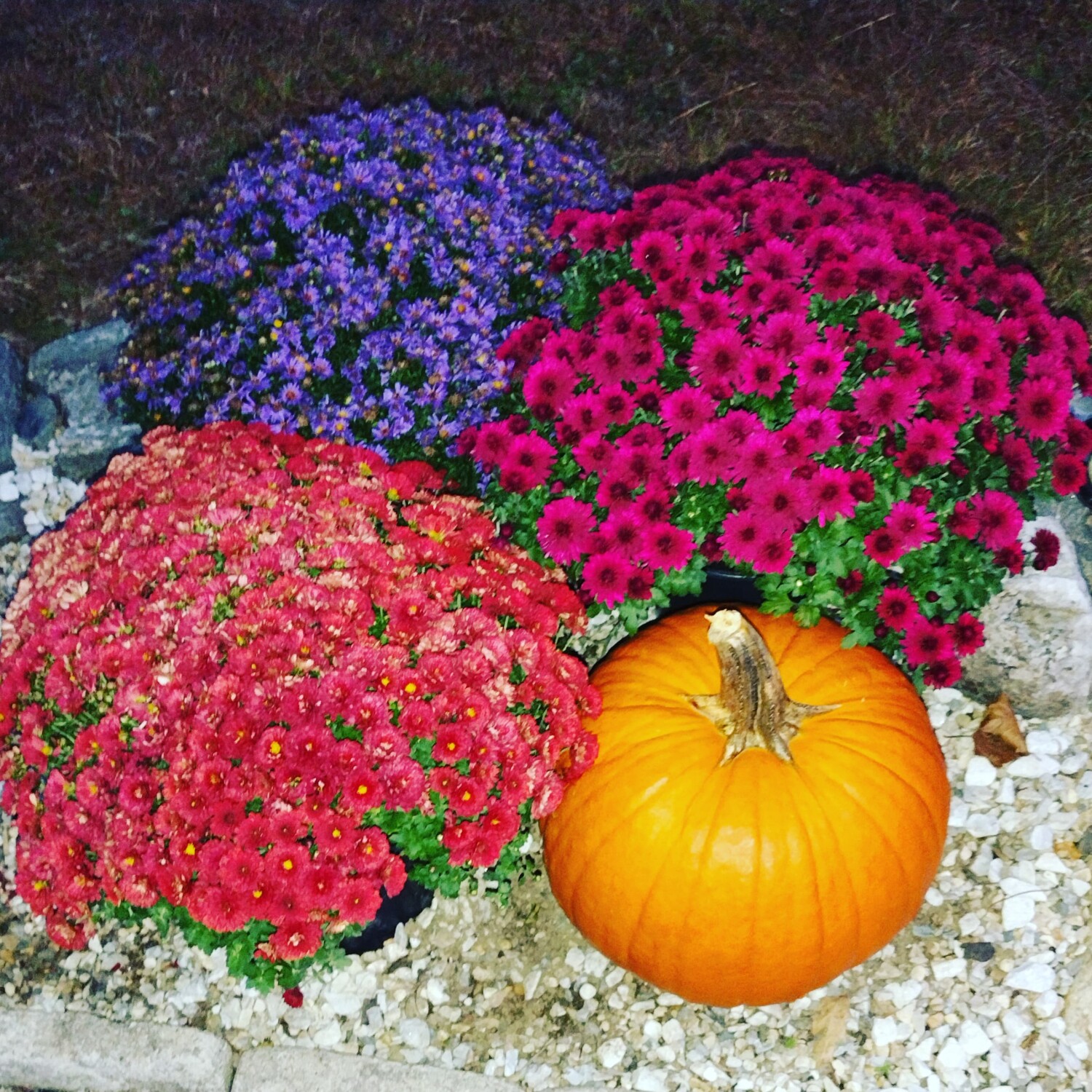 Halloween decorations