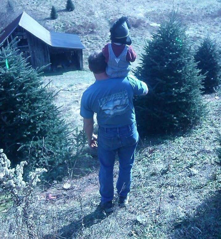 Looking for the perfect Christmas tree