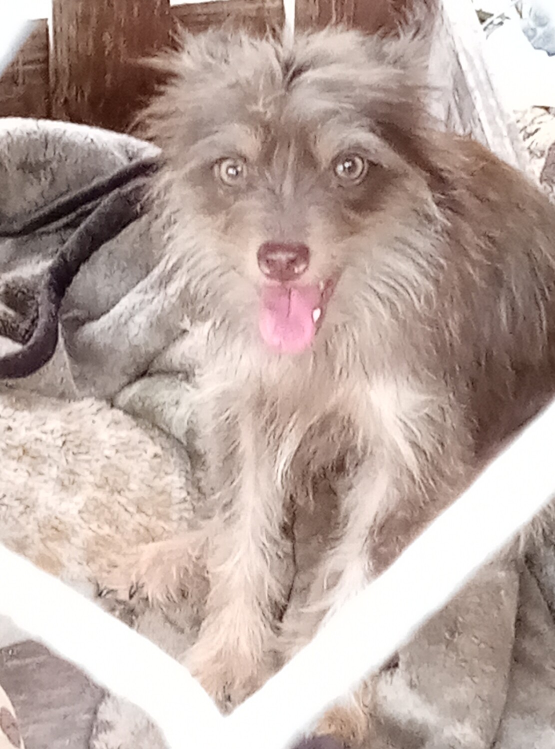 My Olive nickname Weasel