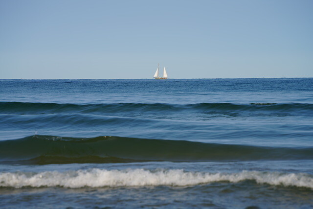 Can survive alone ⛵️(Lake Michigan)