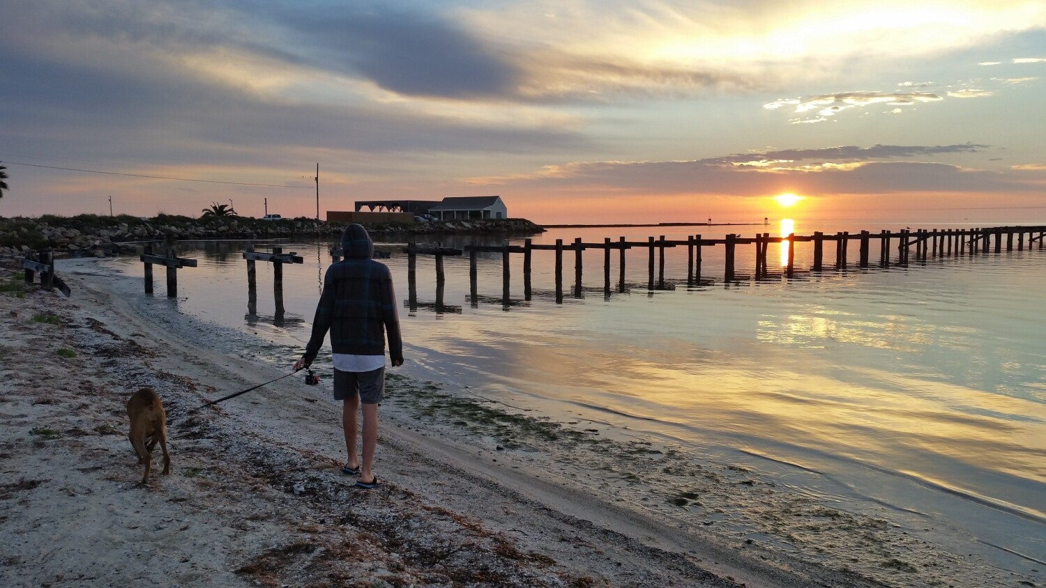 A Mother’s Serenity