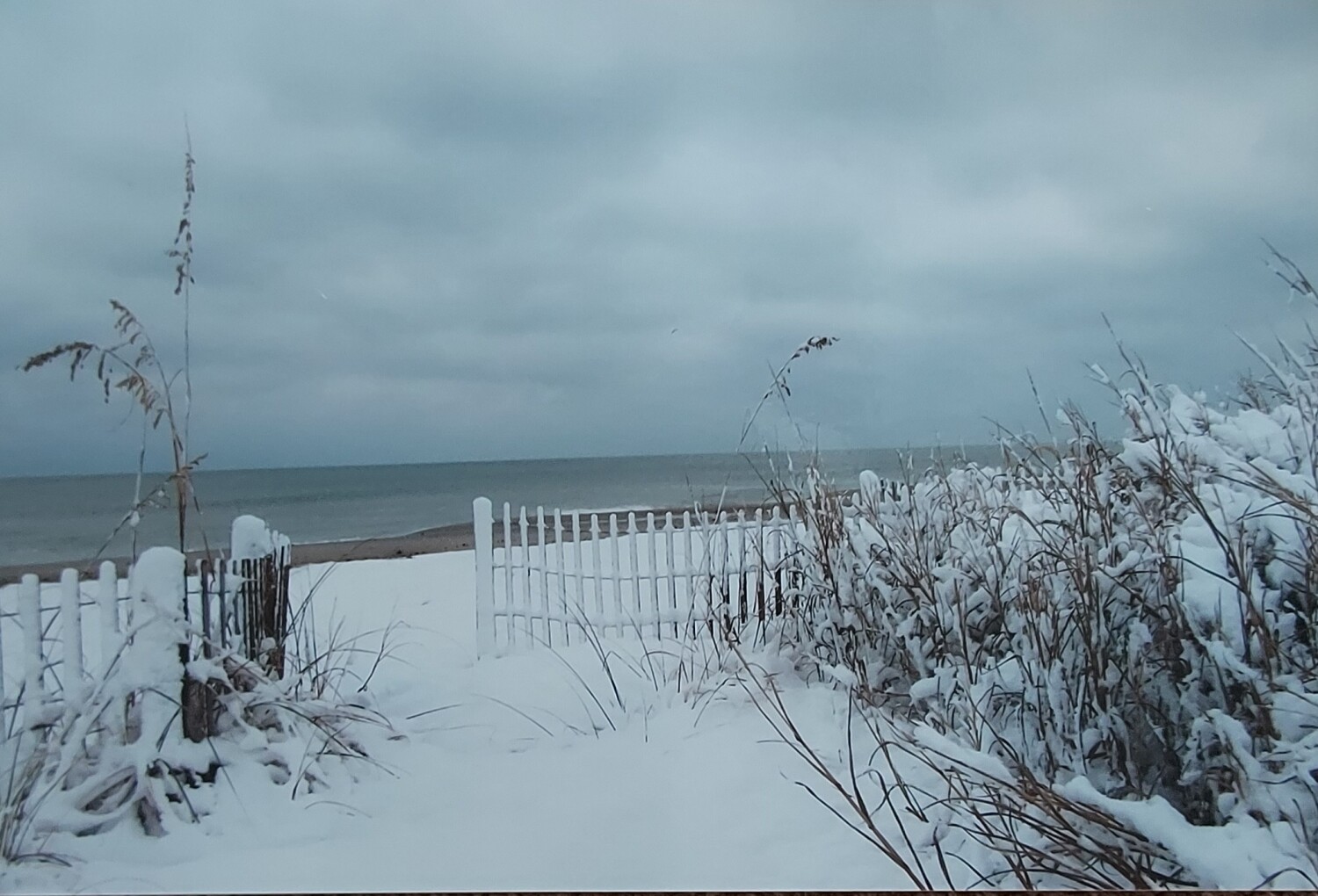 Dreaming of a White Beach