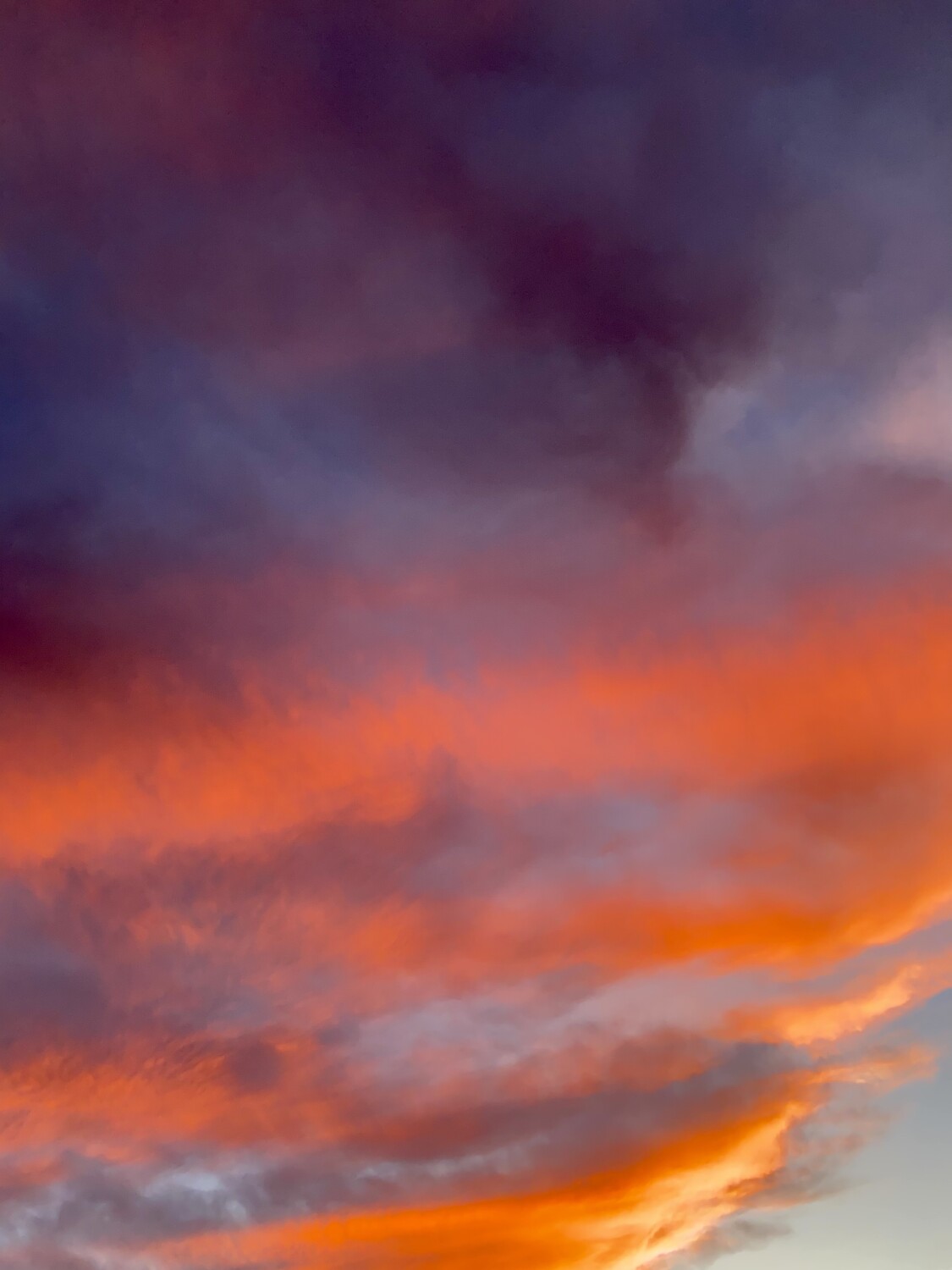 Sunset in the Desert