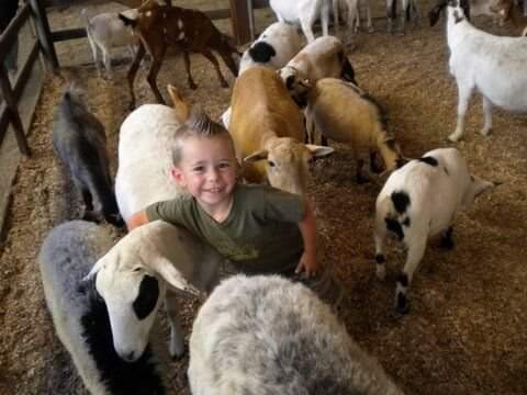 First trip to the LA Fair