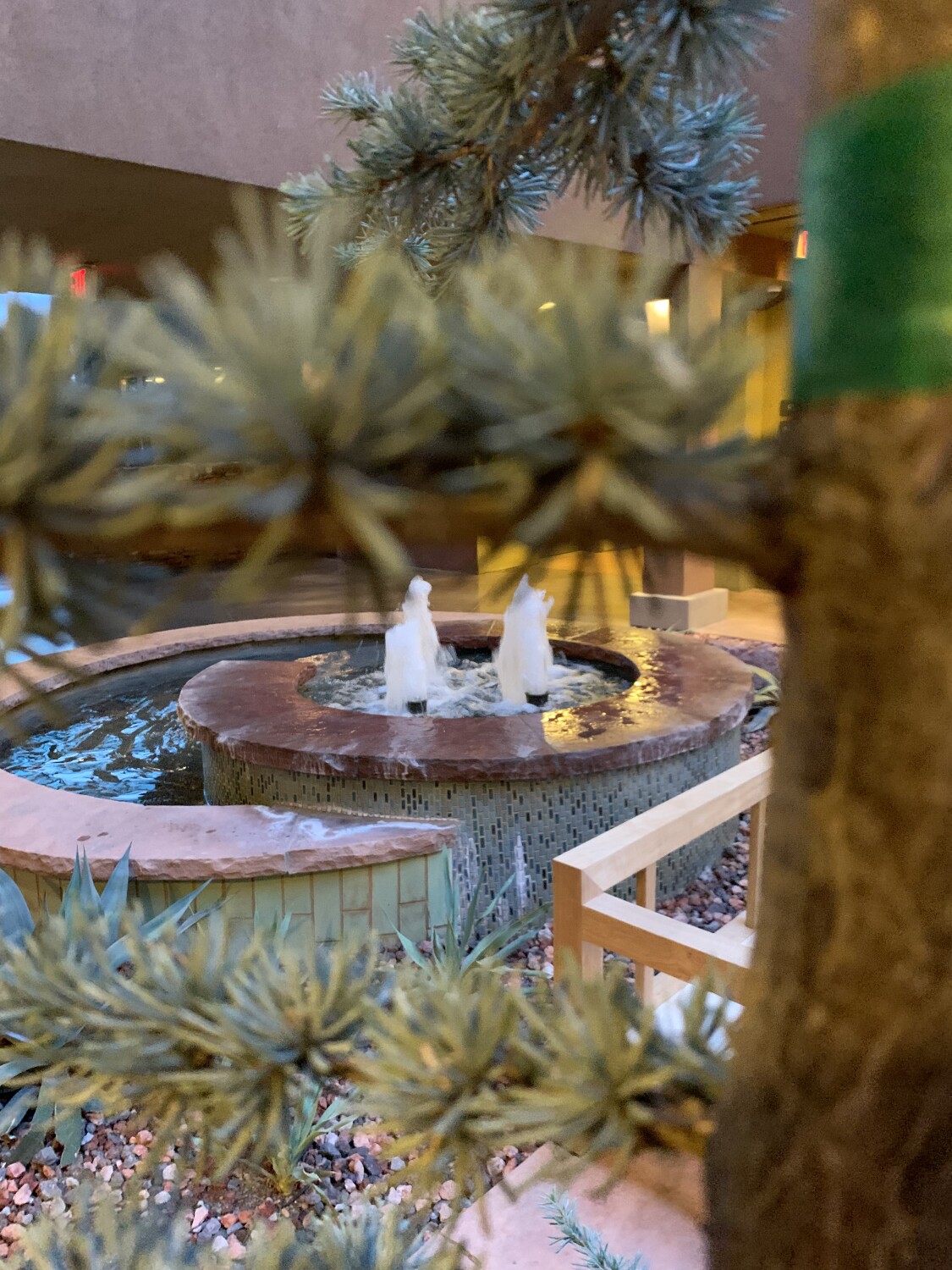 Fountain by the tree