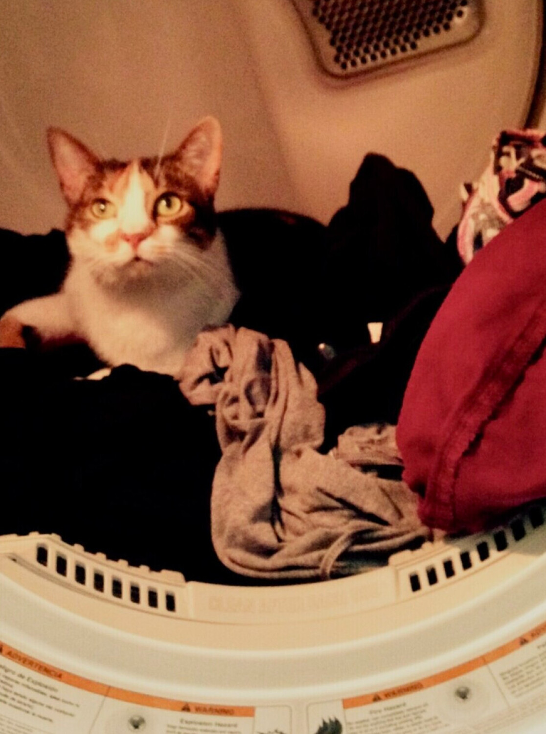 It’s nice and warm in here!!