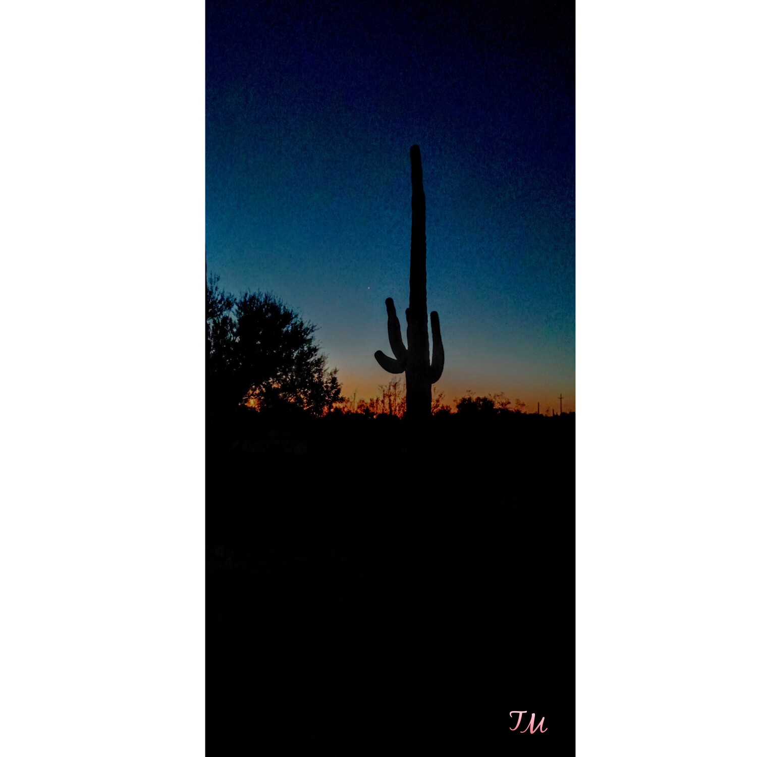 Sunset in the Tucson Mountains