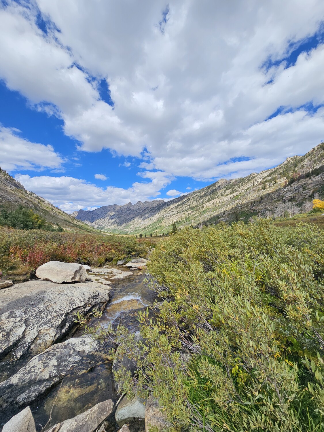 Hidden beauty of Northern Nevada