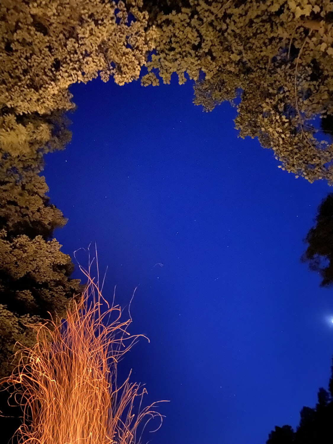 Firepit and Stars, Graham Co, NC