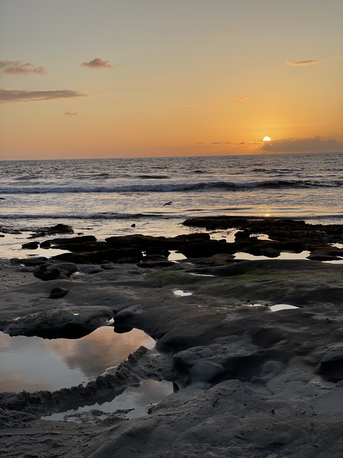 La Jolla Tide Pool -low tide sunset