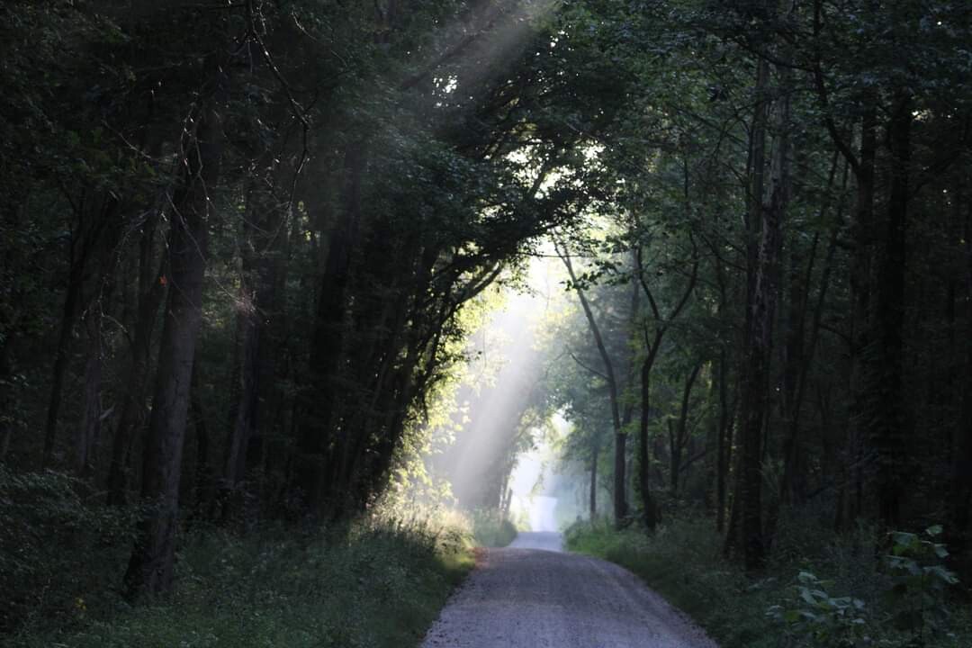 Peaceful morning drive