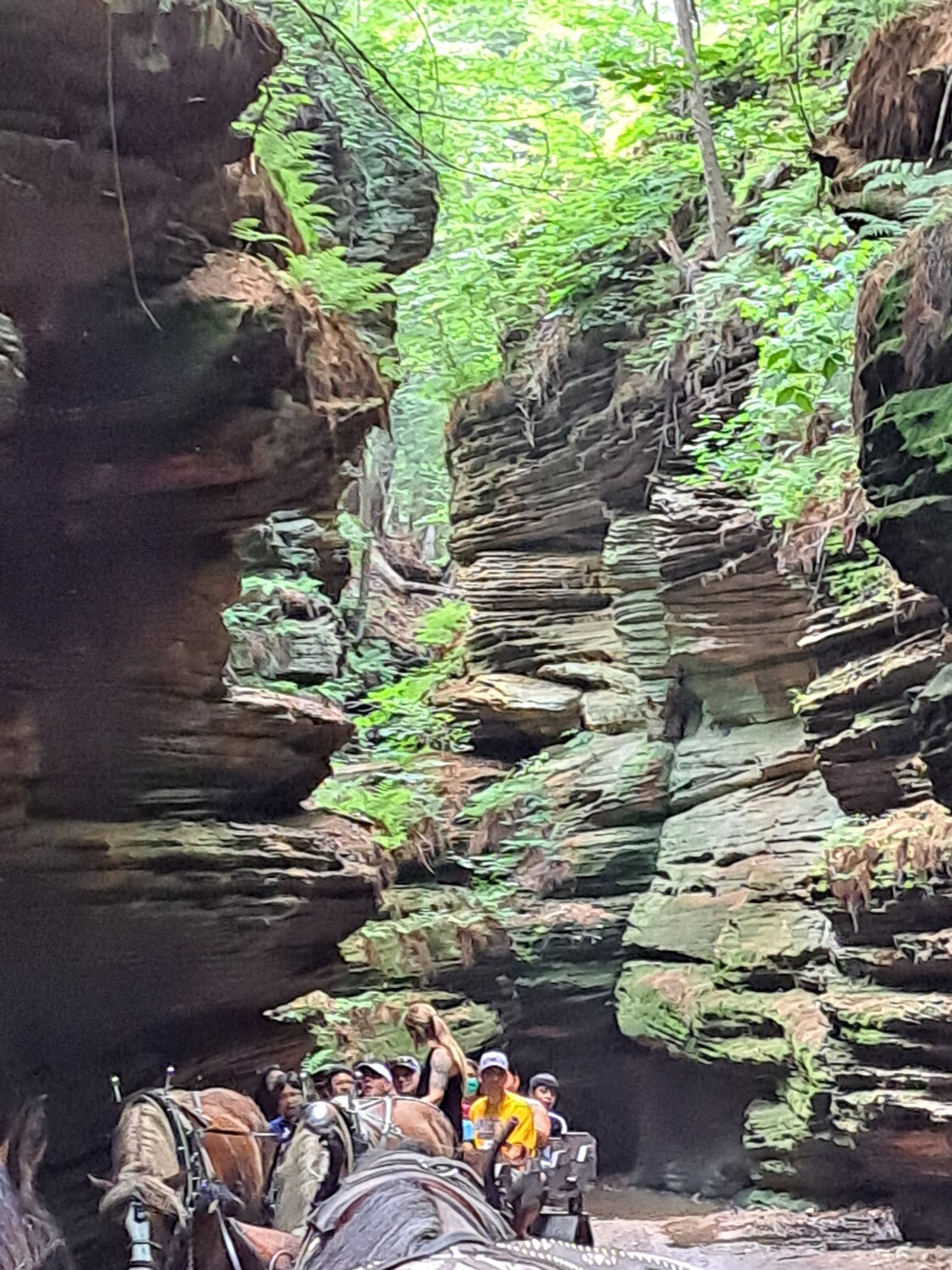 Lost Canyon Tours