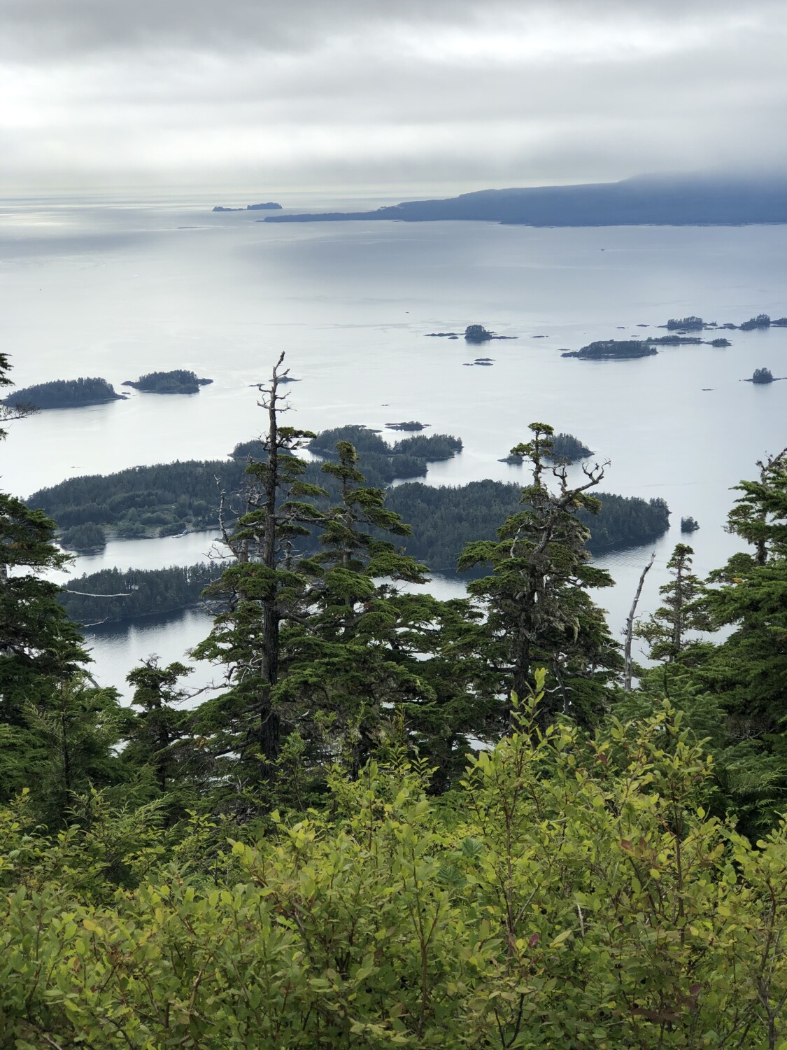 View from the top of Harbor mountain!