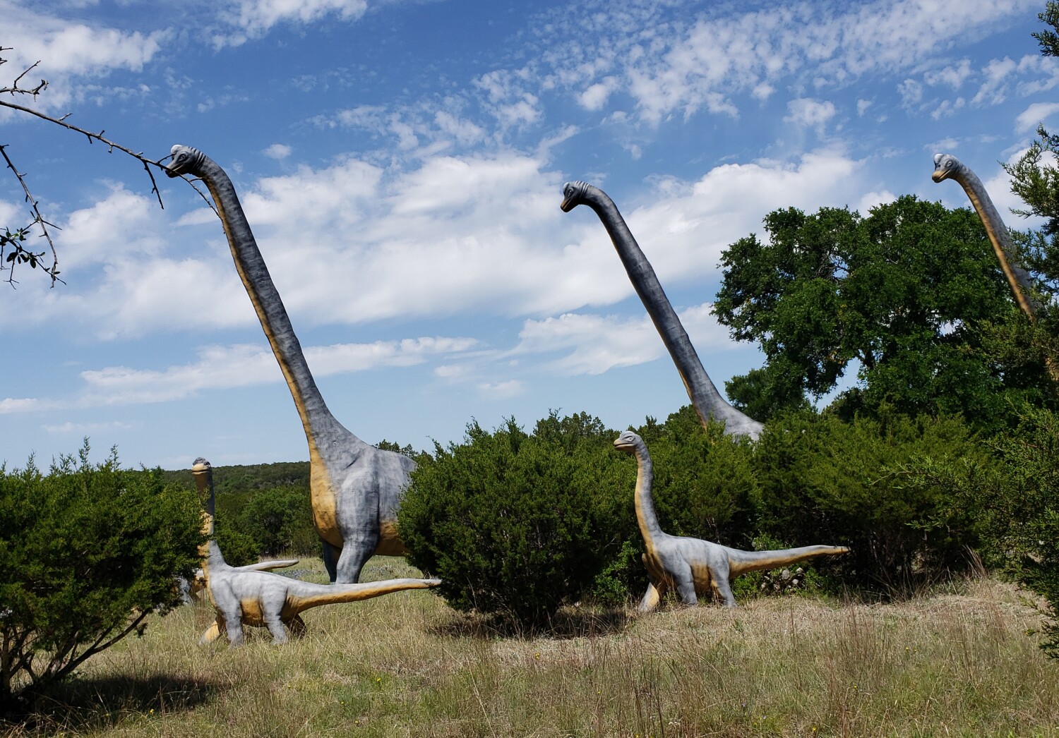 Imagine roaming the earth