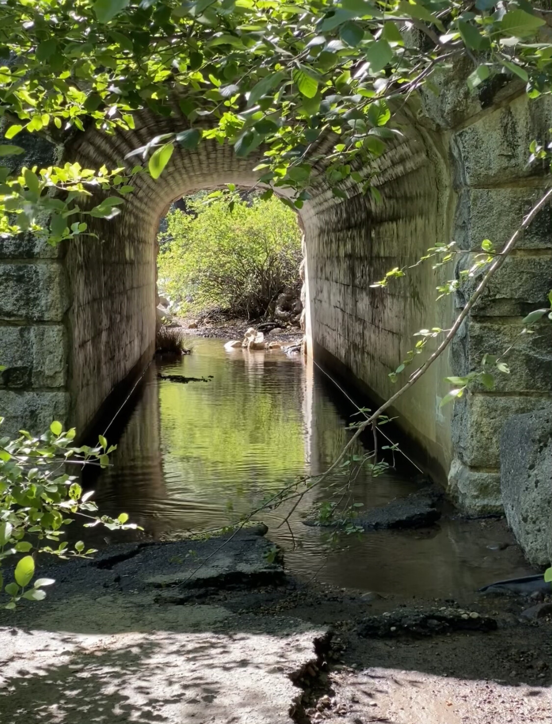 Passageway to great expectations.