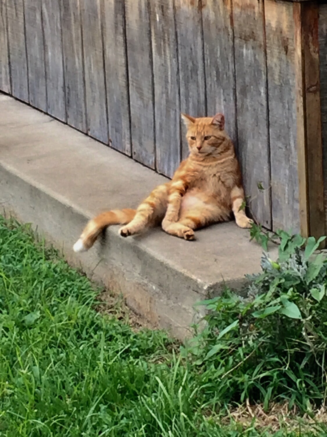 It’s Been One of Those Days!!