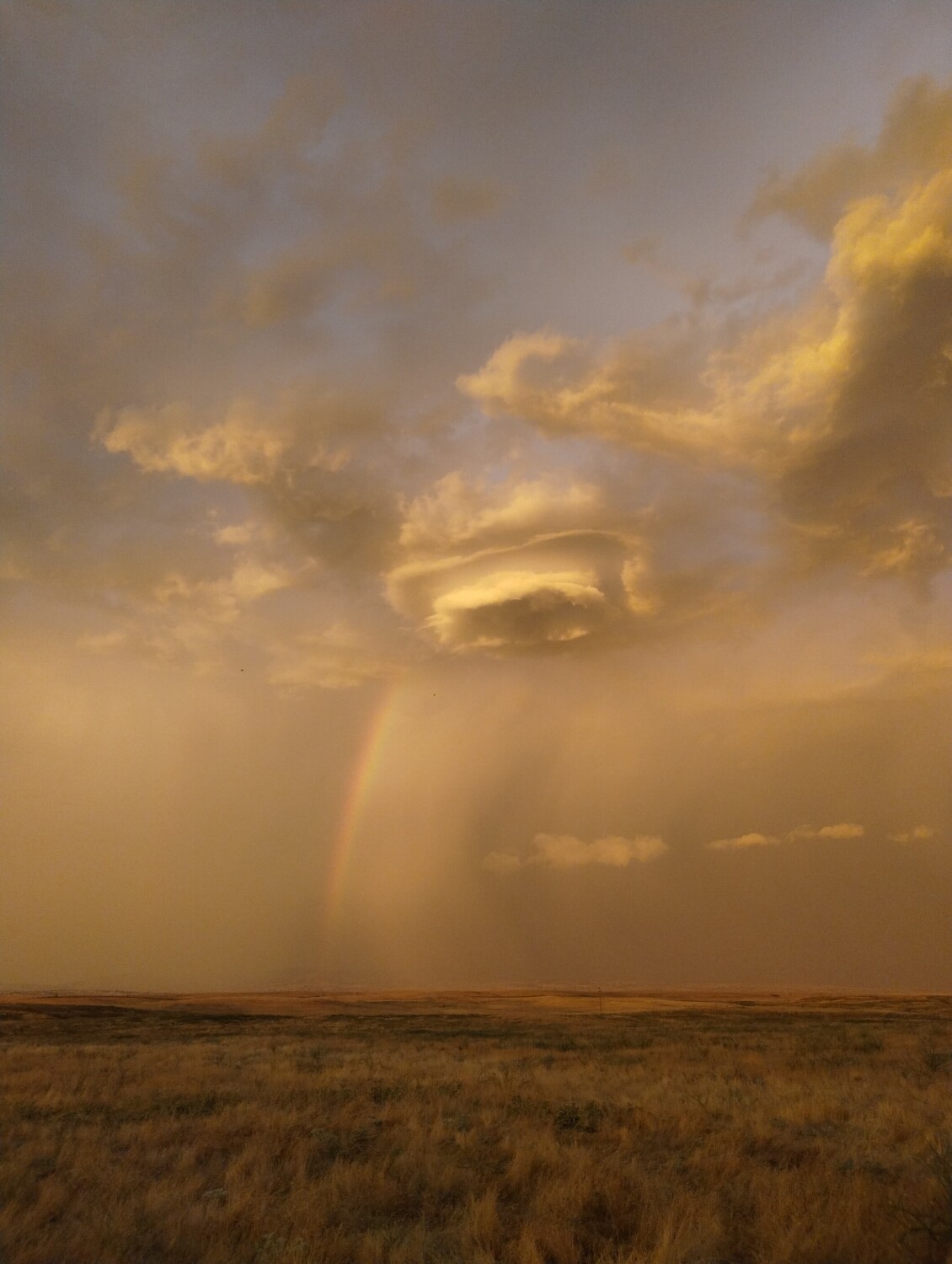 California Thunderstorm