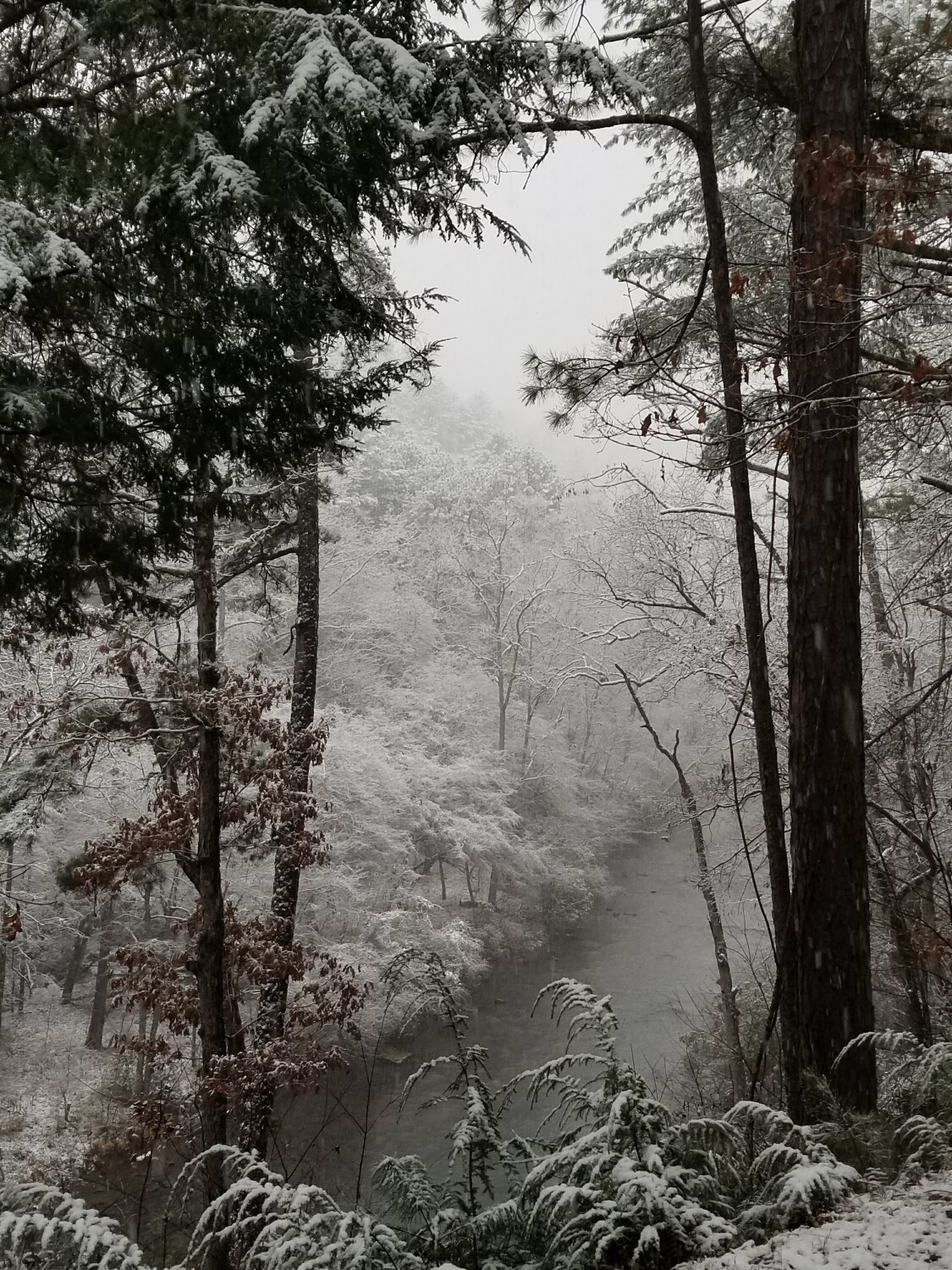 Winter on the Coosawattee