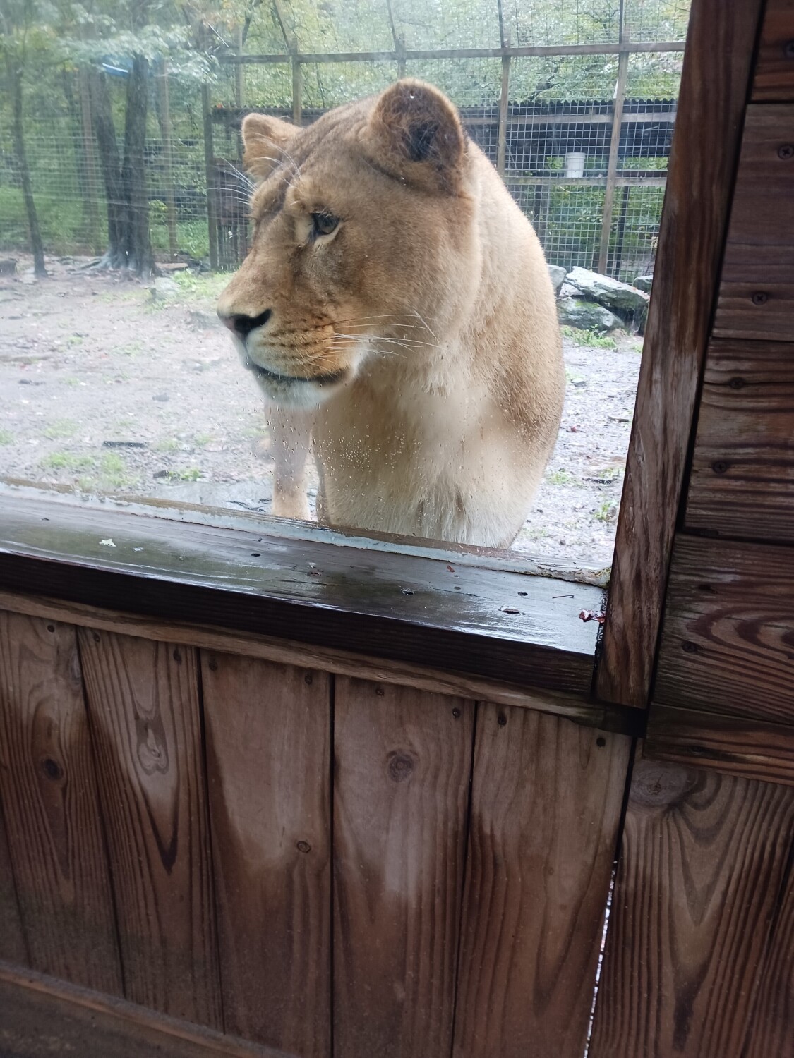 Claws N paws zoo in the poconos