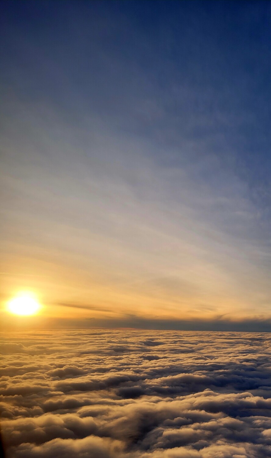 Good Morning Sunshine