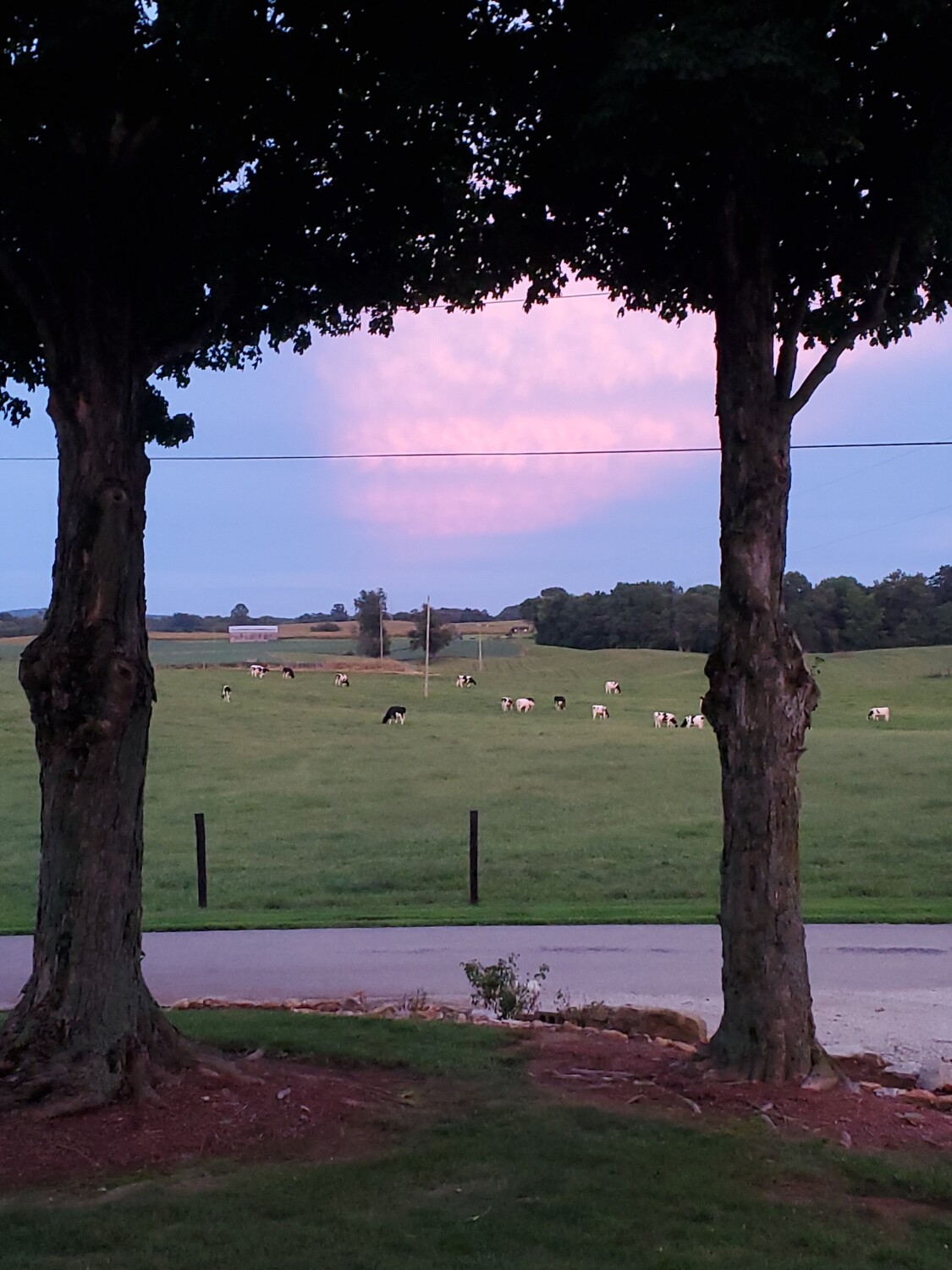 Sunset on the farm