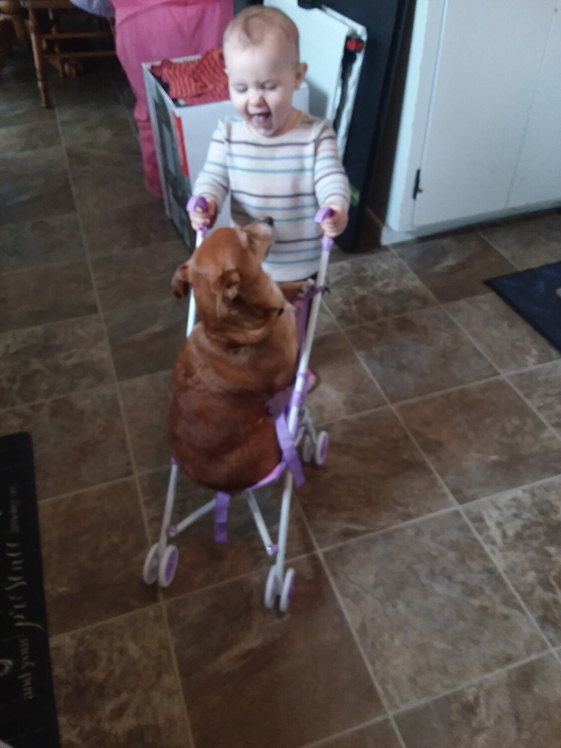 Playing Babies with Spike.