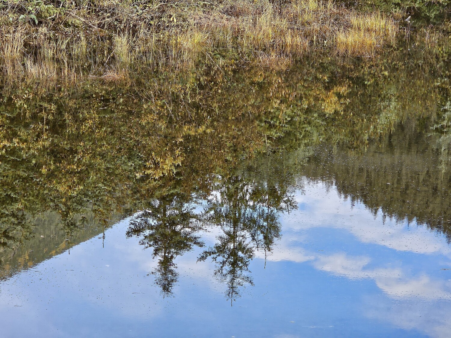 Reflection