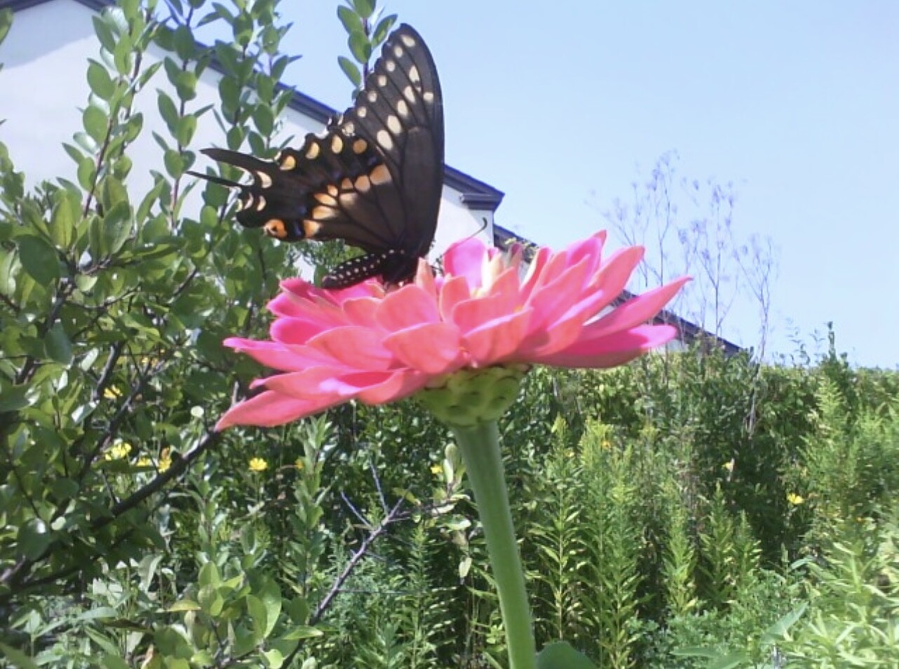 Doesn’t have to be perfect to be beautiful