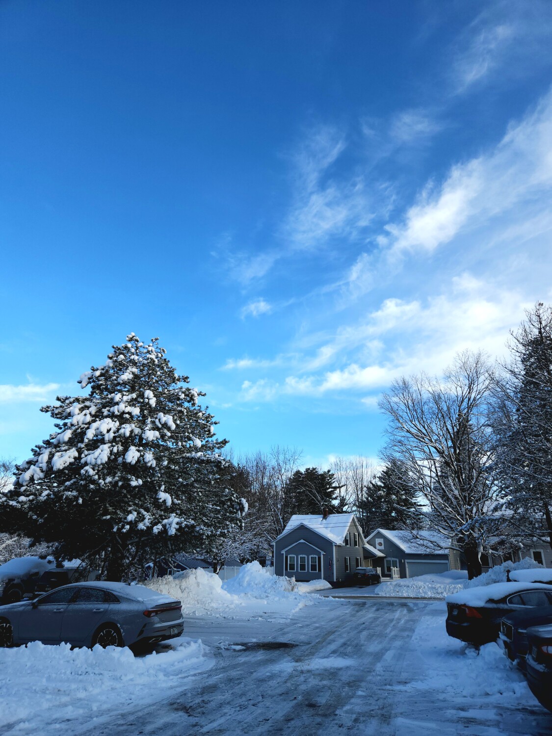 An Auburn Winters Day