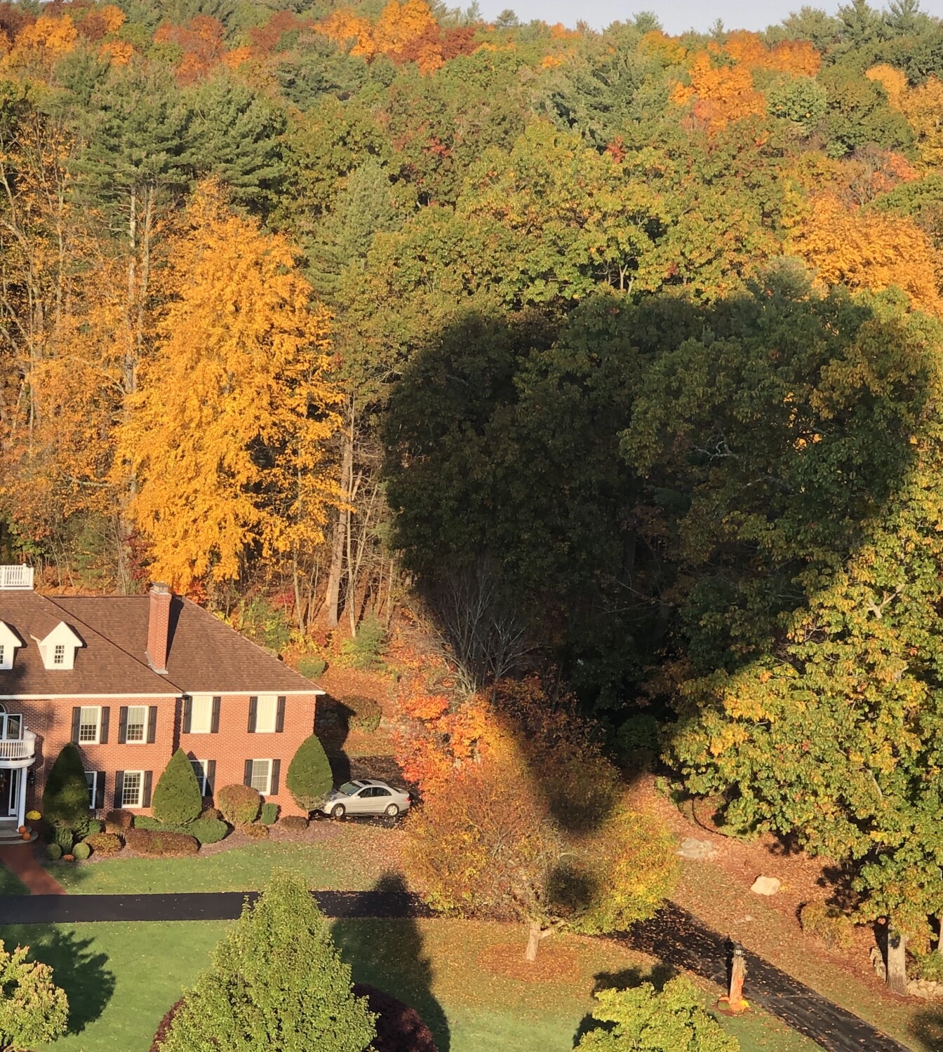 Ballooning with the one you love