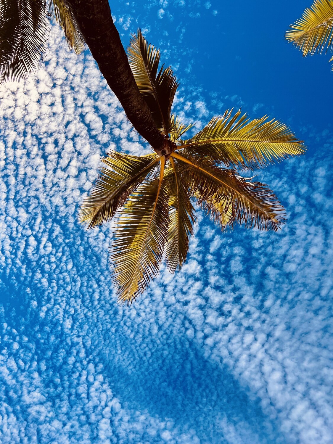Maui sky