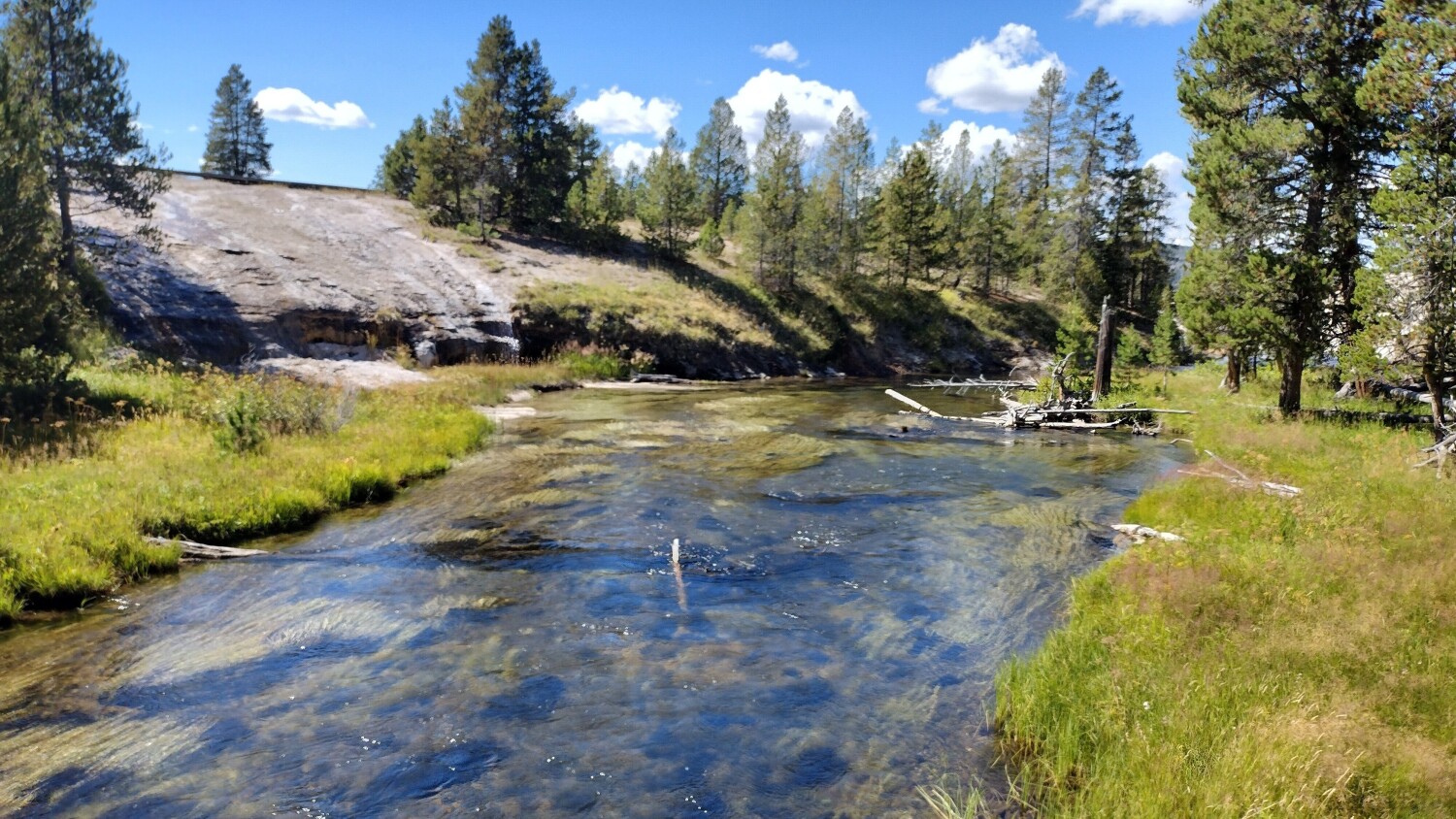 Summer at the Grand canyon
