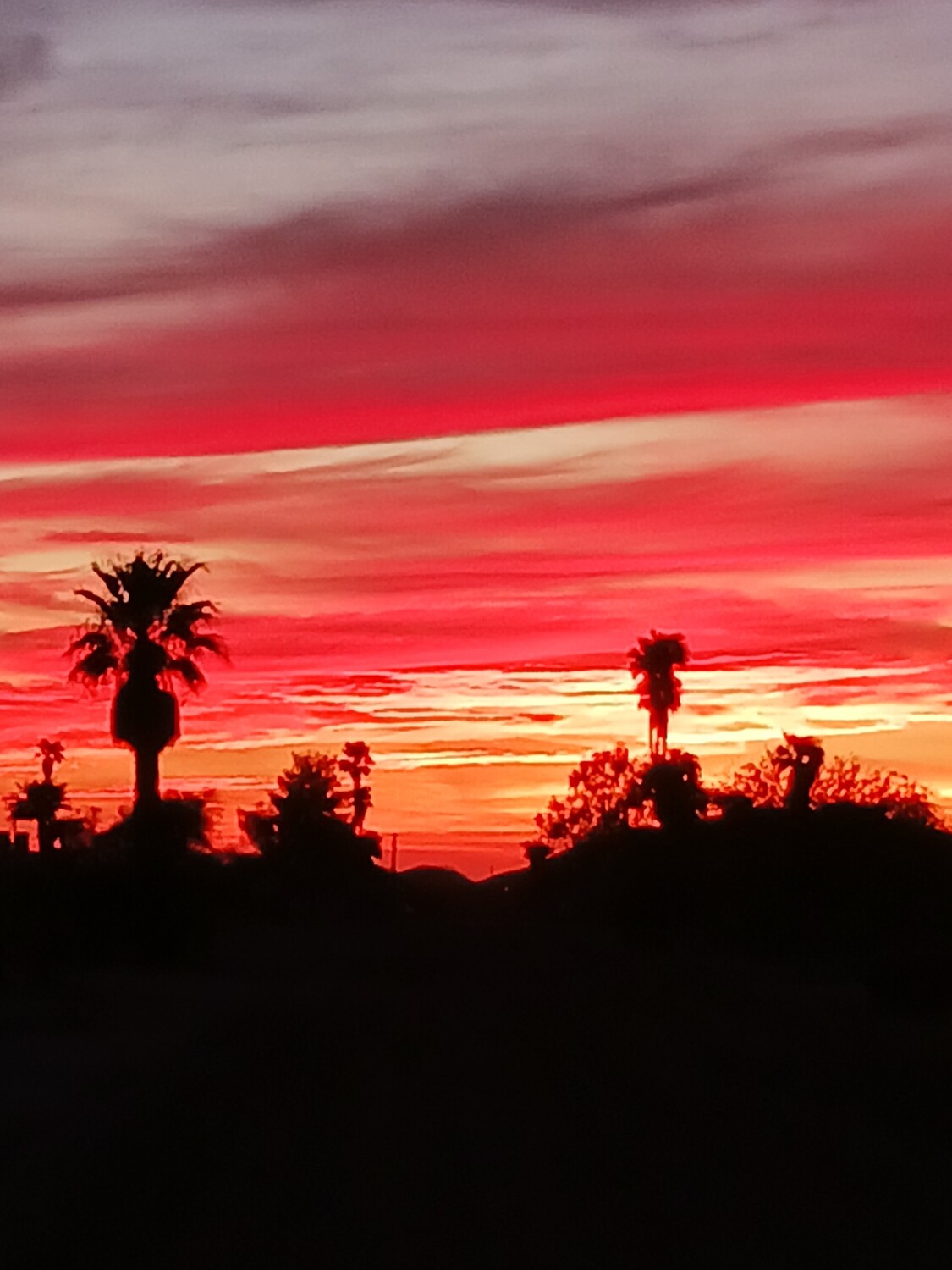 Arizona sunset