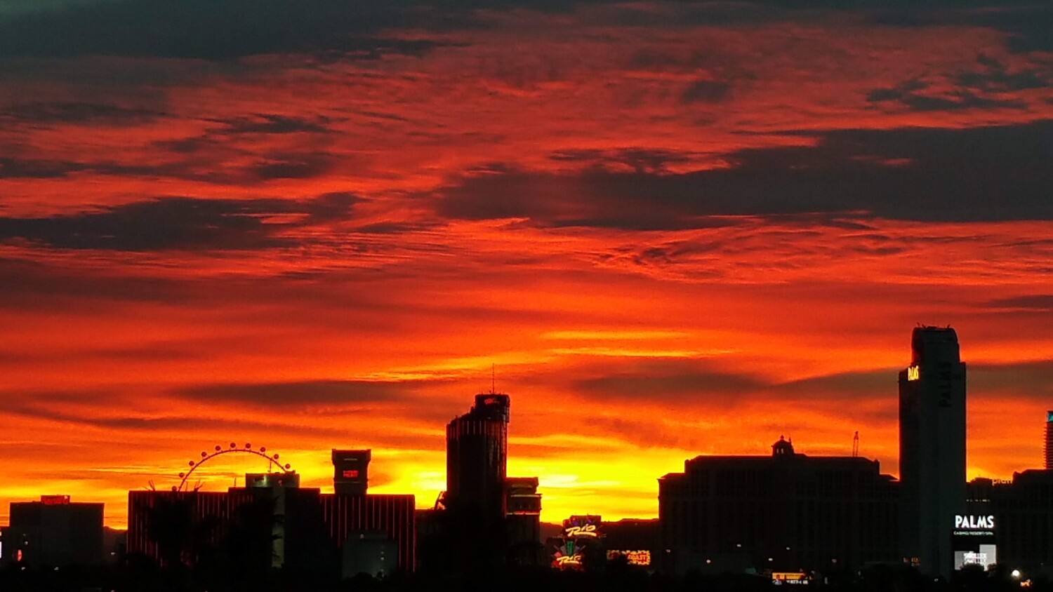 Vegas sunrise