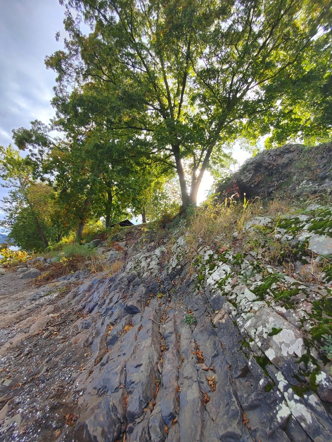 Susquehanna Early Autumn