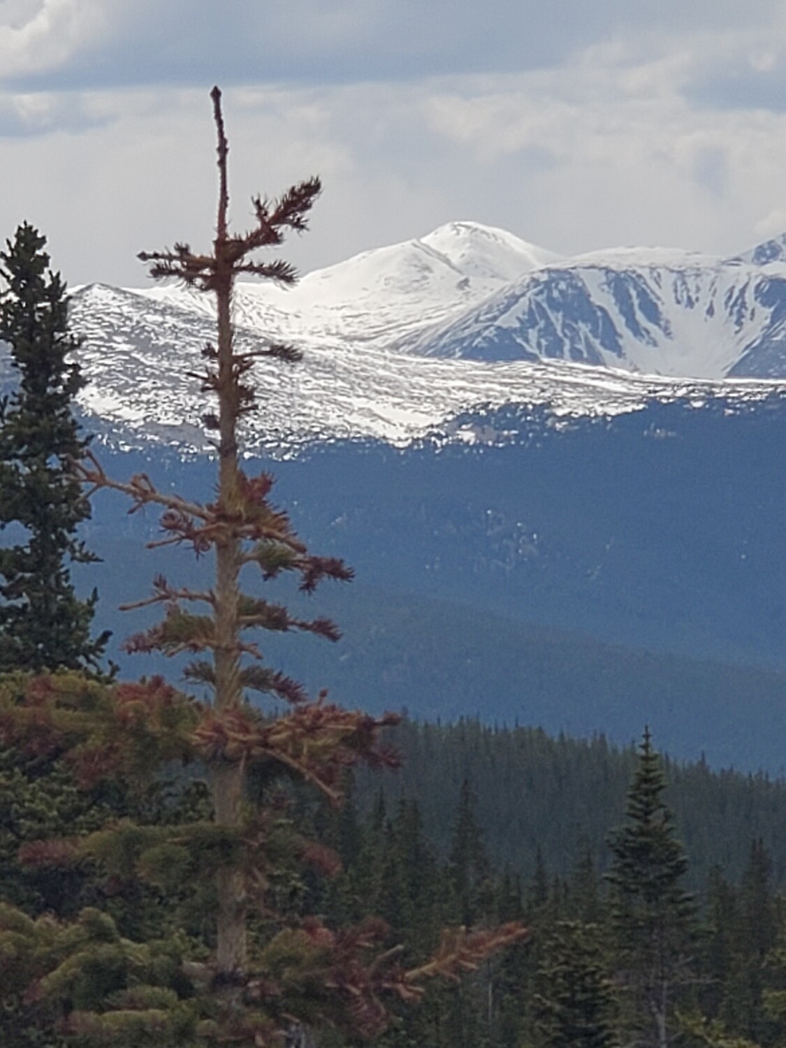 Montañas y Nieve entre las nuves Creacion De Dios