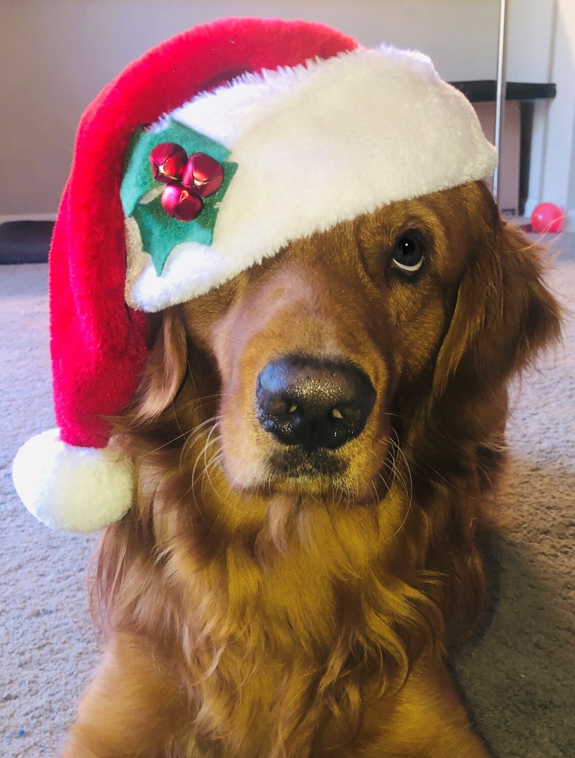 Have a "Honey" of a holiday.