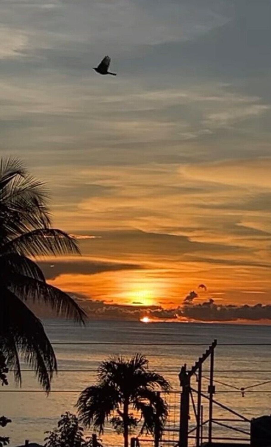 Soaring into the Sunset