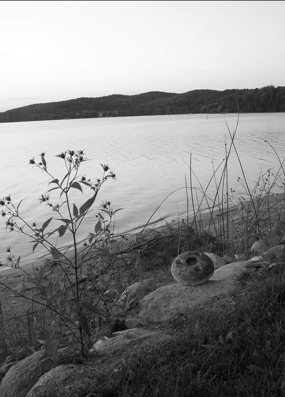 A moment of stillness