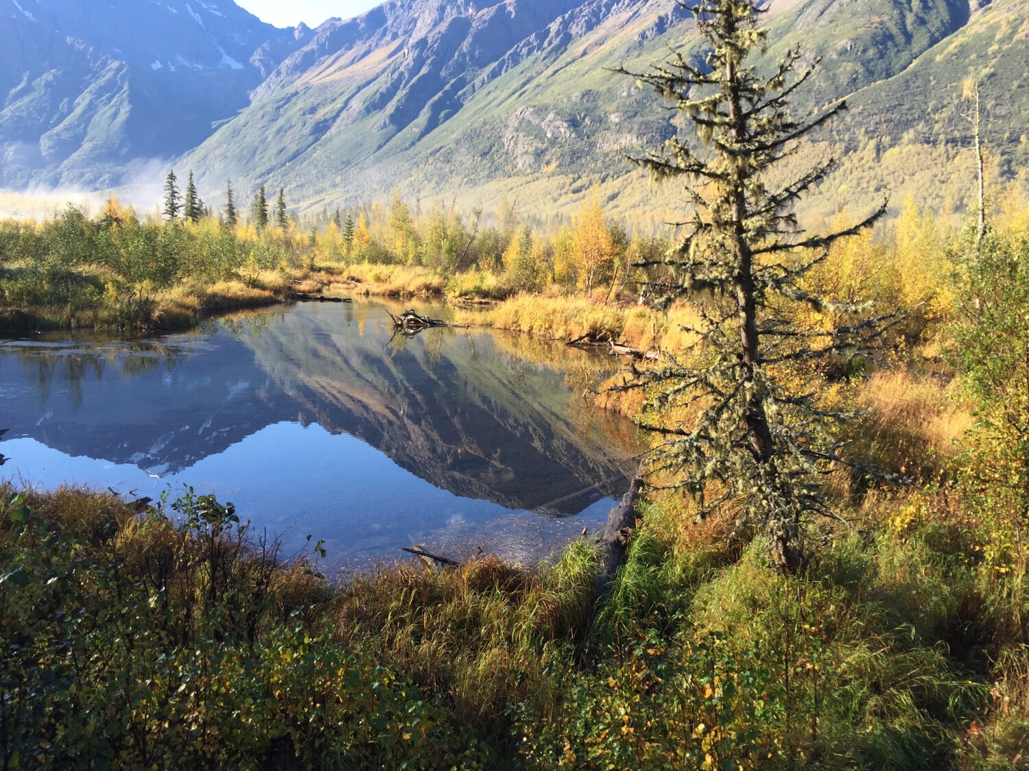 Eagle River Nature Center photo