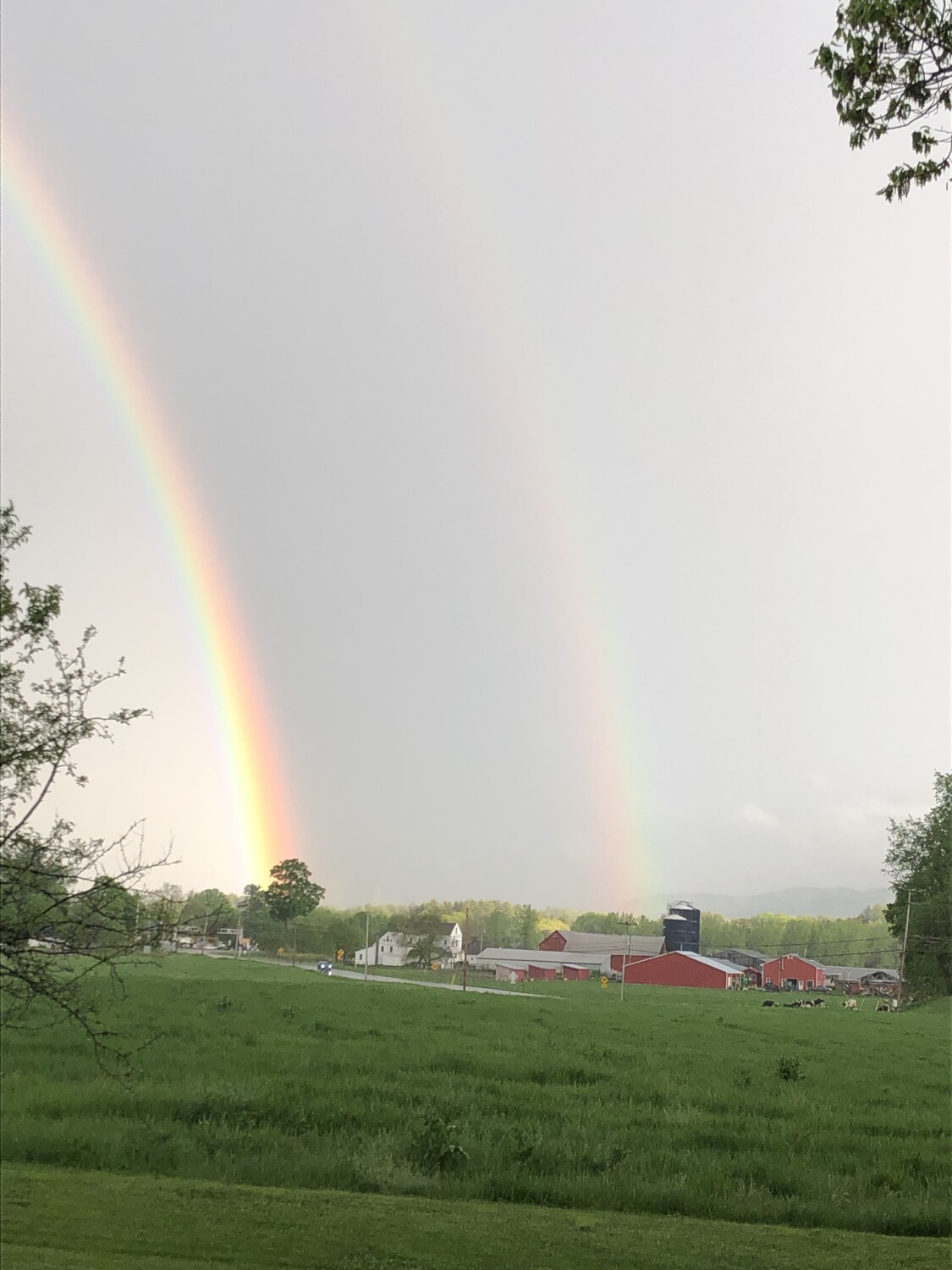 Rainbow over Miller Farm