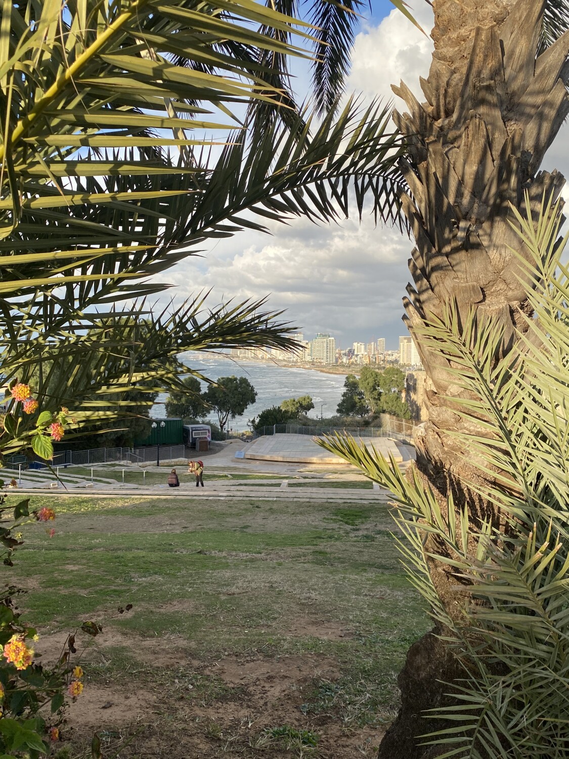 beauty in the eyes of the beholder