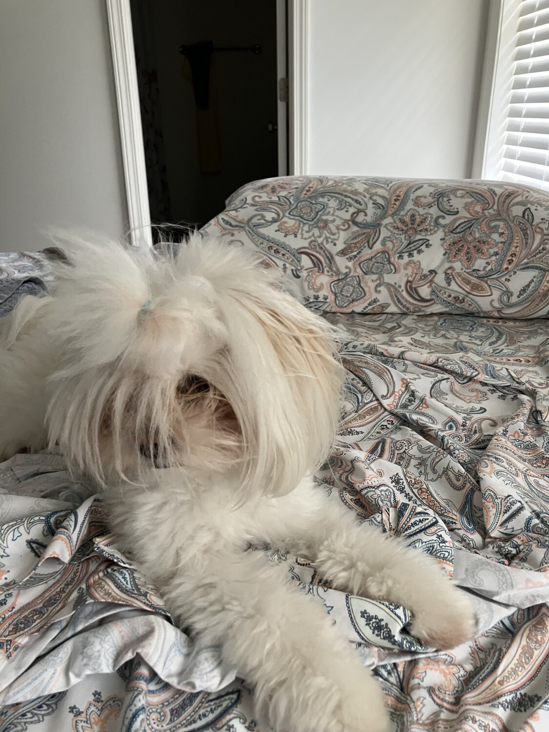 It’s too early to be pretty