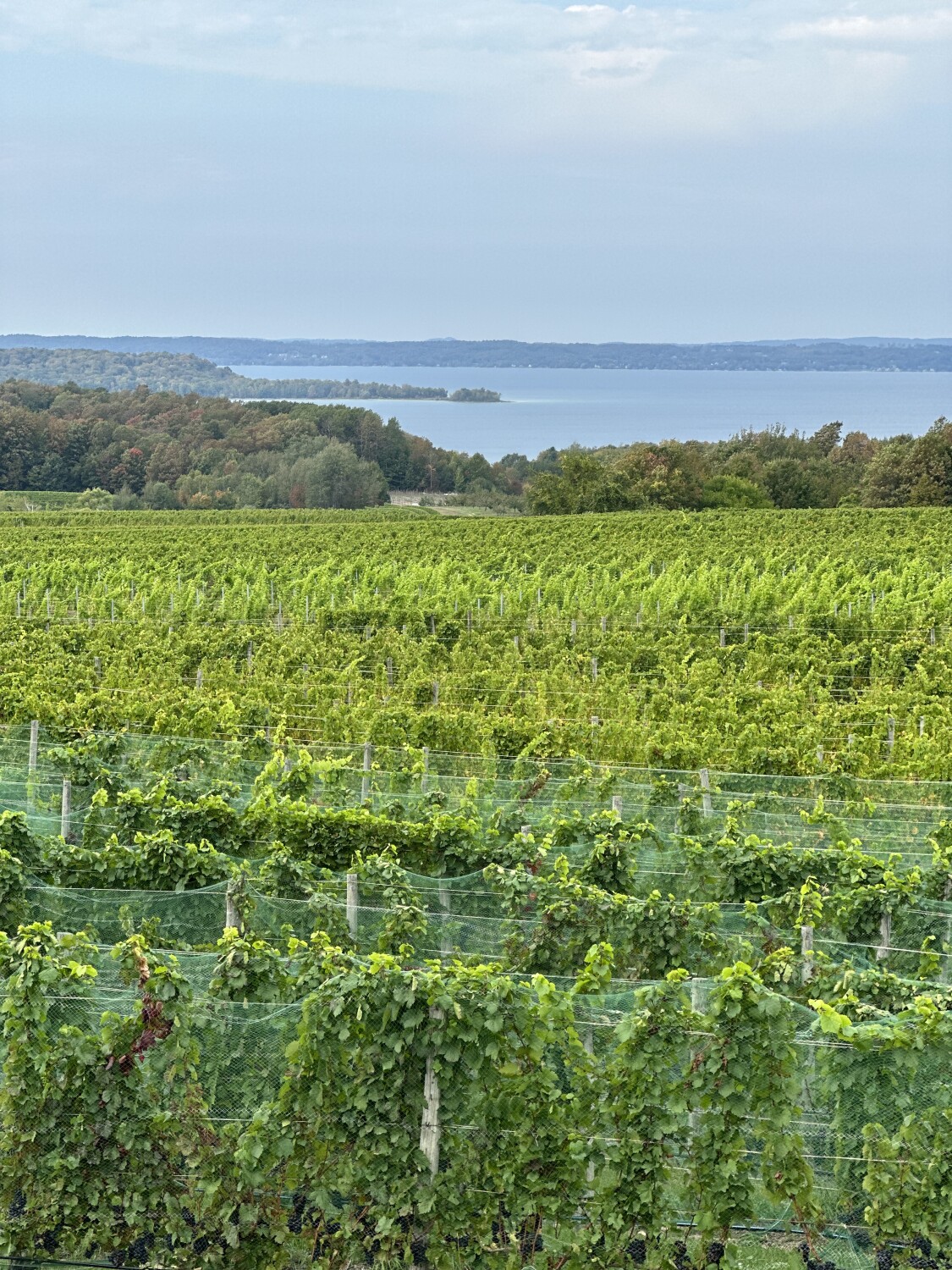 God’s amazing love