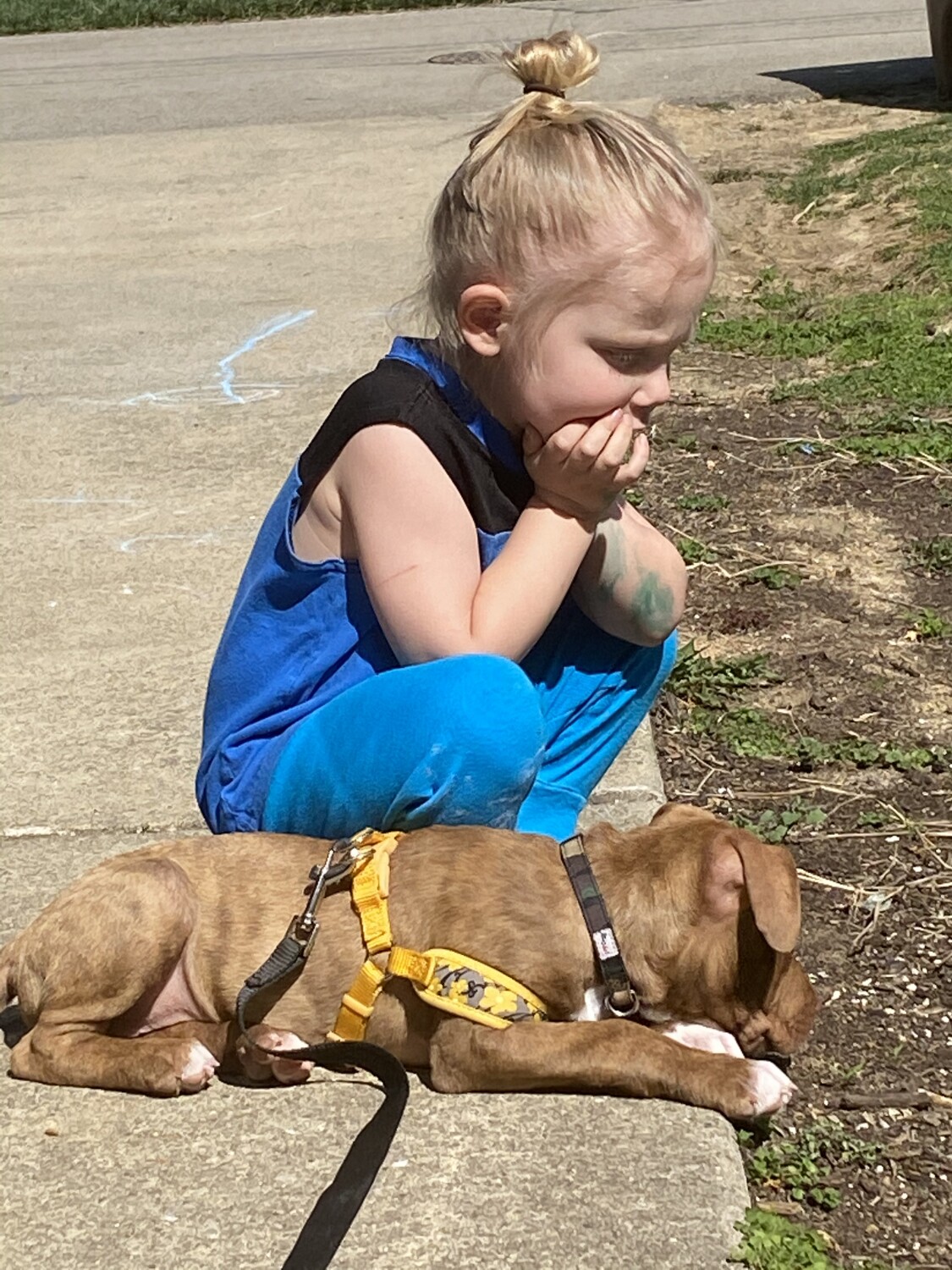 A boy and his dog