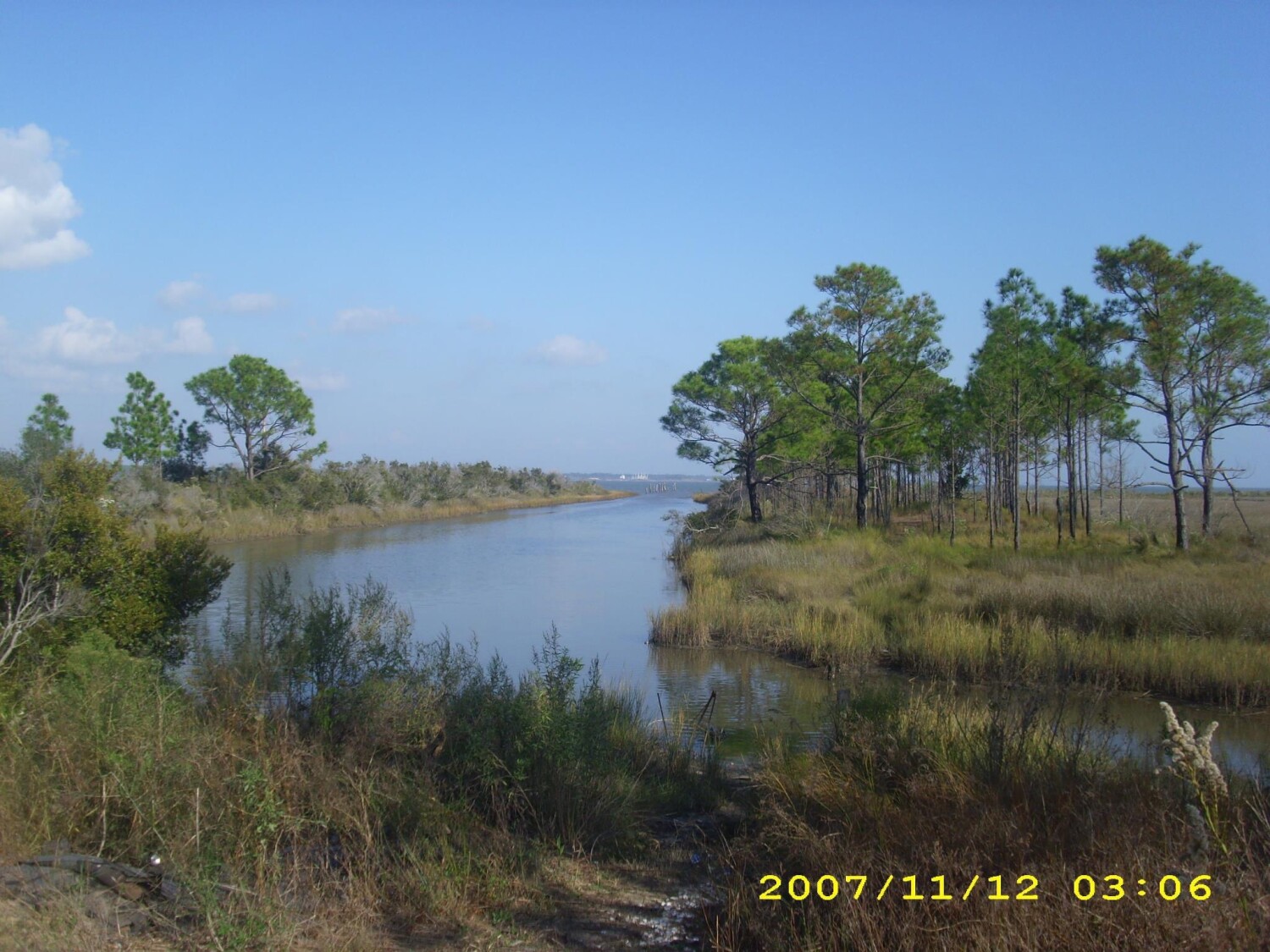 Bayou Swamp