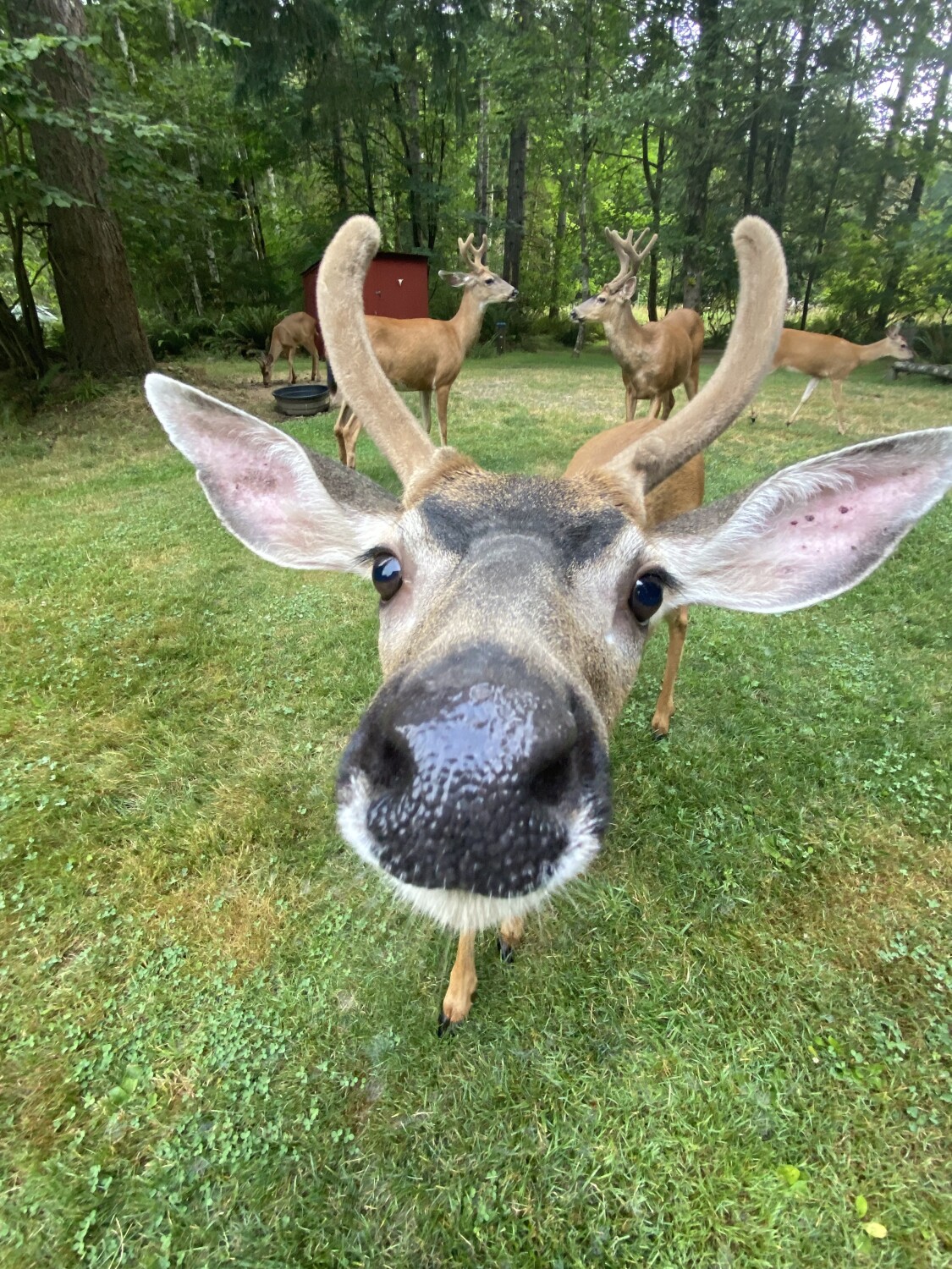 Are you looking at me